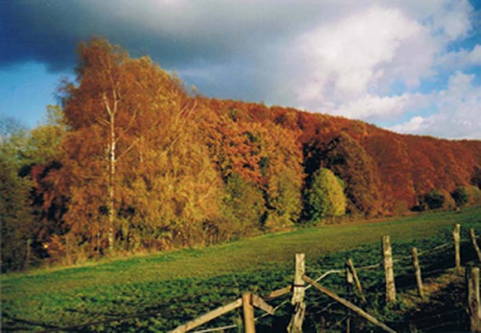 Umgebung 2